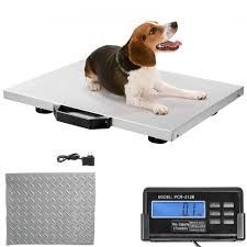 พยาบาลสัตวแพทย์ Platform Scale Stainless Steel With Indicator ม้าแพะสัตว์เลี้ยงหมู Weigher
